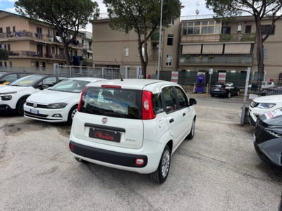 Fiat Panda 1.0 firefly hybrid s&s 70cv 5p.ti (5)