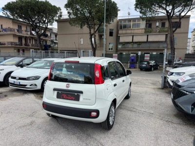 Fiat Panda 1.0 firefly hybrid s&s 70cv 5p.ti (8)