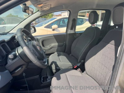 Fiat Panda 1.0 firefly hybrid s&s 70cv 5p.ti (10)