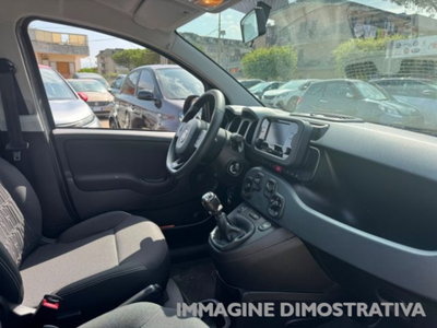 Fiat Panda 1.0 firefly hybrid s&s 70cv 5p.ti (14)