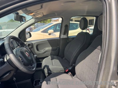 Fiat Panda 1.0 firefly hybrid s&s 70cv 5p.ti (16)