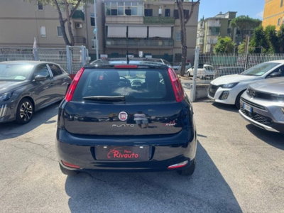 Fiat Punto 1.4 8V 5 porte Natural Power Street (5)