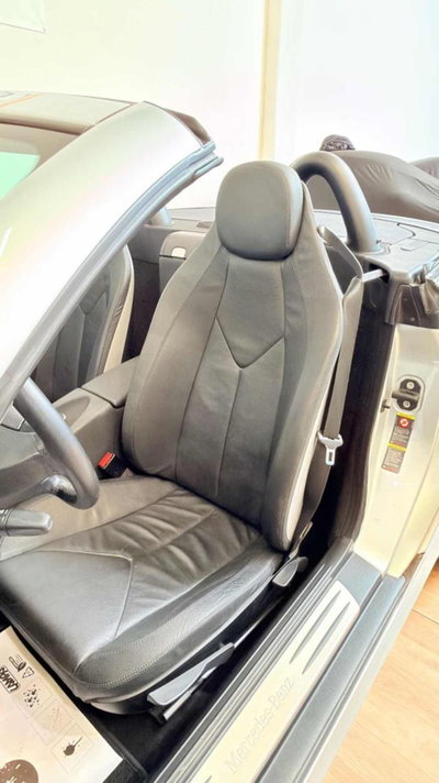 Mercedes-Benz SLK 200 Kompressor cat (13)