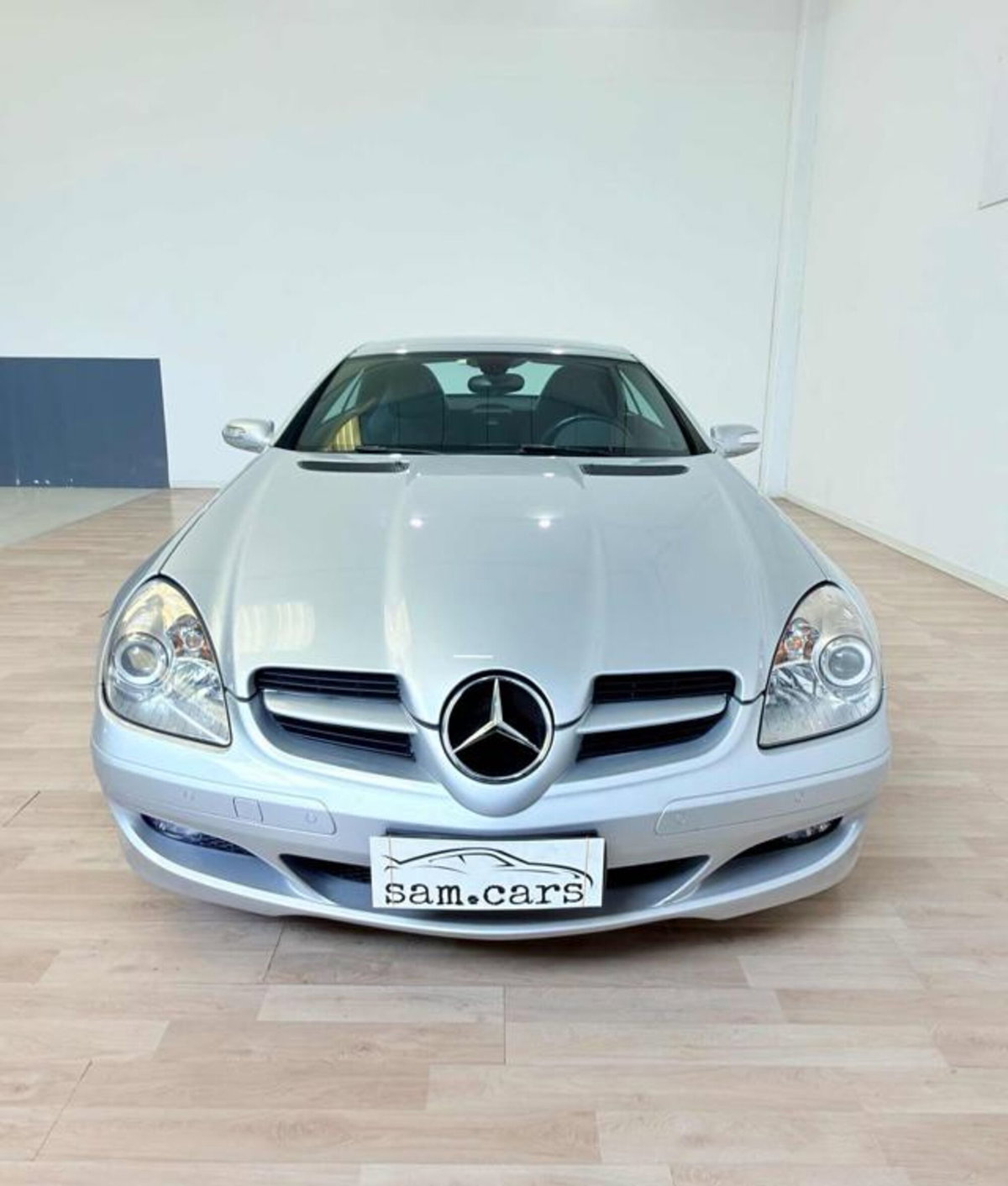Mercedes-Benz SLK 200 Kompressor cat (8)