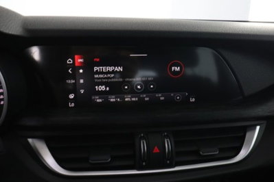 Alfa Romeo Stelvio Stelvio 2.2 Turbodiesel 190 CV AT8 Q4 Super Business (11)