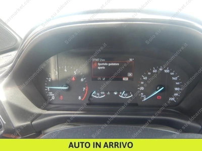 Ford Puma 1.0 EcoBoost Hybrid 125 CV S&S aut. Titanium X (6)