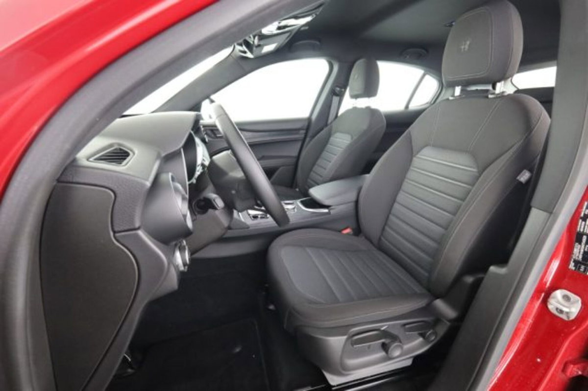 Alfa Romeo Stelvio Stelvio 2.2 Turbodiesel 190 CV AT8 Q4 Super Business (2)