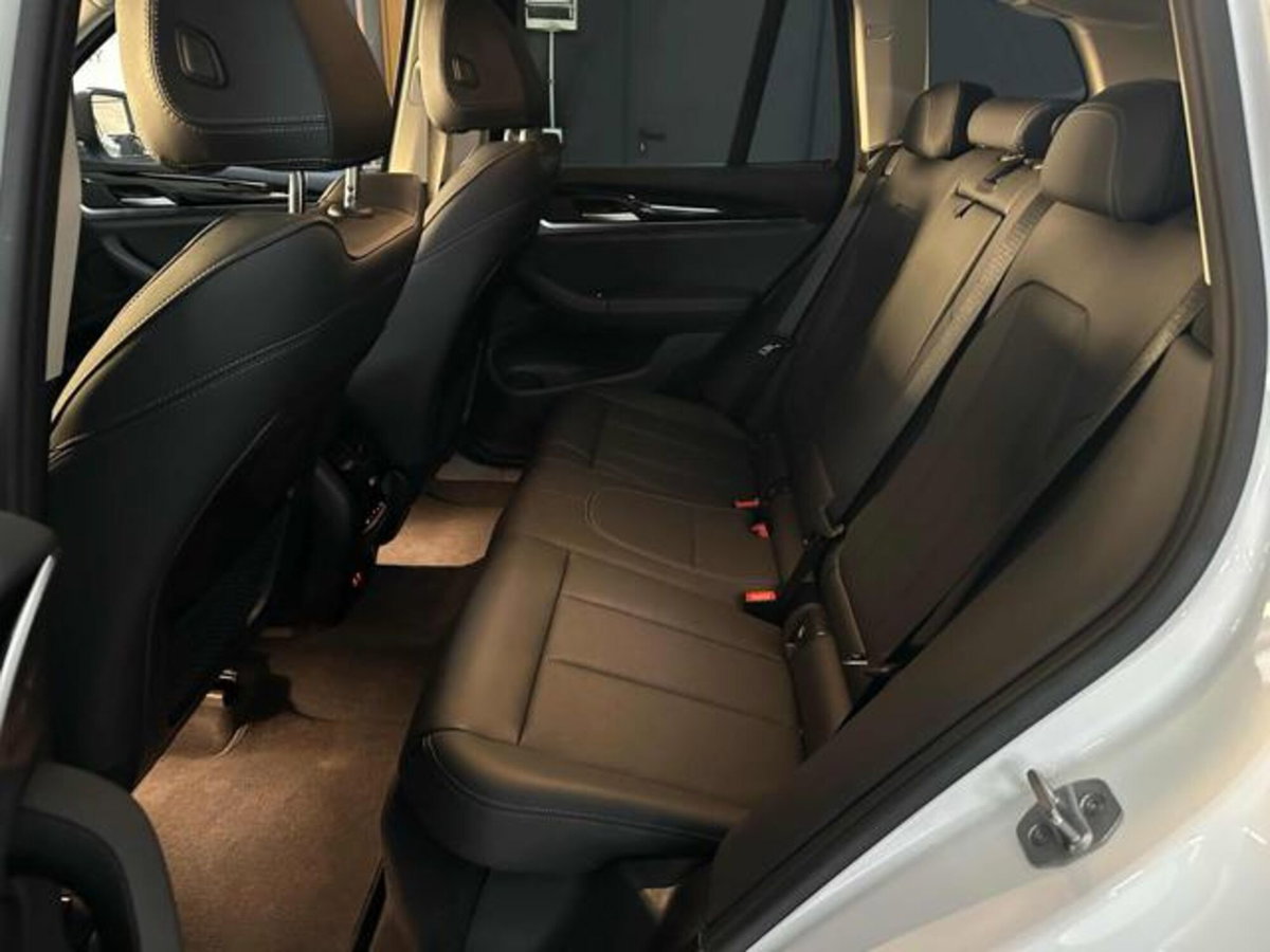 BMW X3 xDrive20d 48V (8)