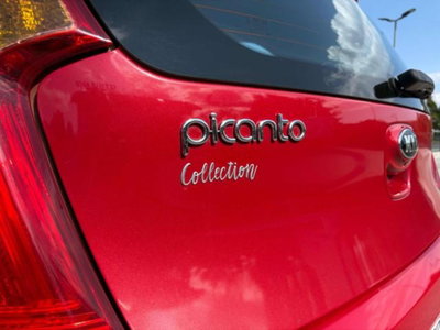 Kia Picanto 1.0 12V EcoGPL 5 porte Glam Collection (5)