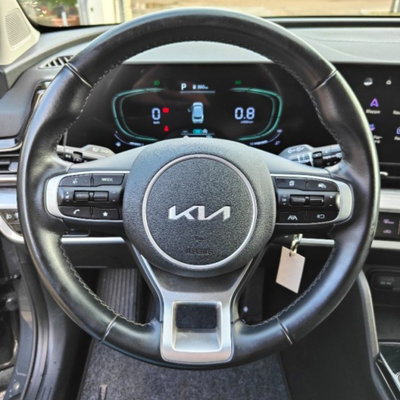 Kia Sportage 1.6 crdi mhev Business dct (14)