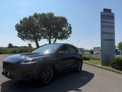 Ford Kuga 1.5 EcoBoost 150 CV 2WD ST-Line usata