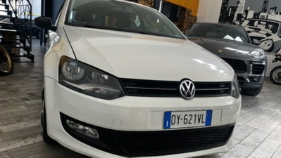 Volkswagen Polo 1.6 TDI DPF 5 porte Comf. BlueMotion Technology (2)