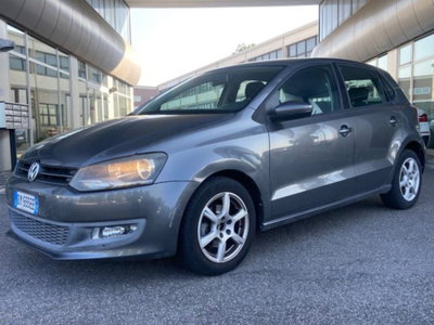 Volkswagen Polo 1.6 TDI DPF 5 porte Comfortline (3)