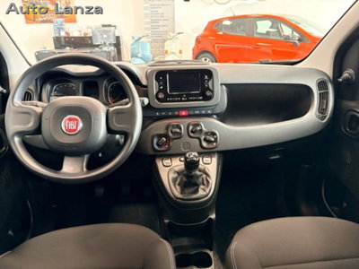 Fiat Panda 1.0 firefly hybrid s&s 70cv 5p.ti (5)