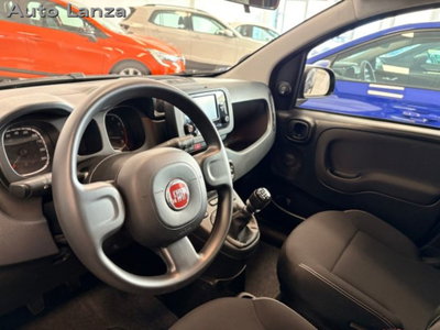 Fiat Panda 1.0 firefly hybrid s&s 70cv 5p.ti (8)