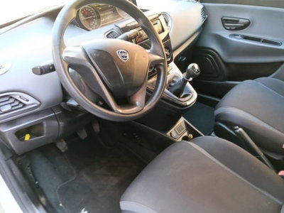 Lancia Ypsilon 1.2 69 CV 5 porte GPL Ecochic Alberta Ferretti (19)