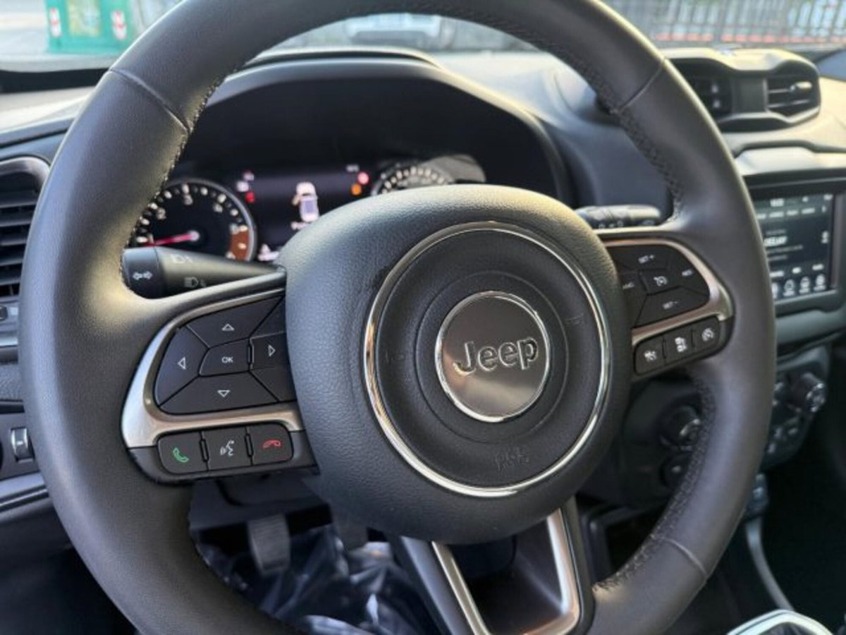 Jeep Renegade 1.6 mjt Limited 2wd 130cv (14)