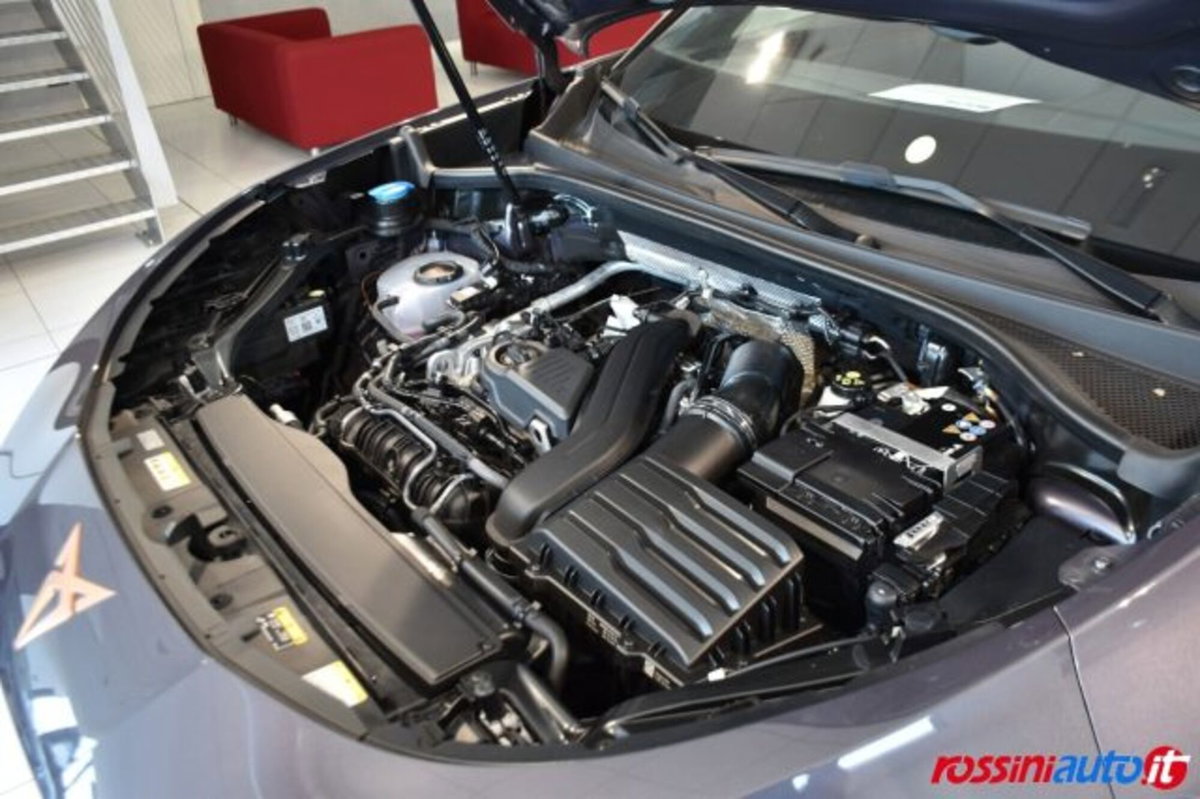 Cupra Terramar 1.5 hybrid 150cv dsg (15)