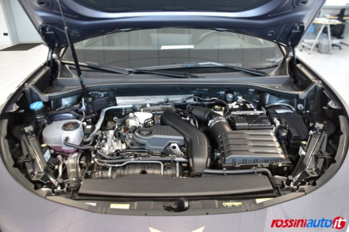 Cupra Terramar 1.5 hybrid 150cv dsg (18)