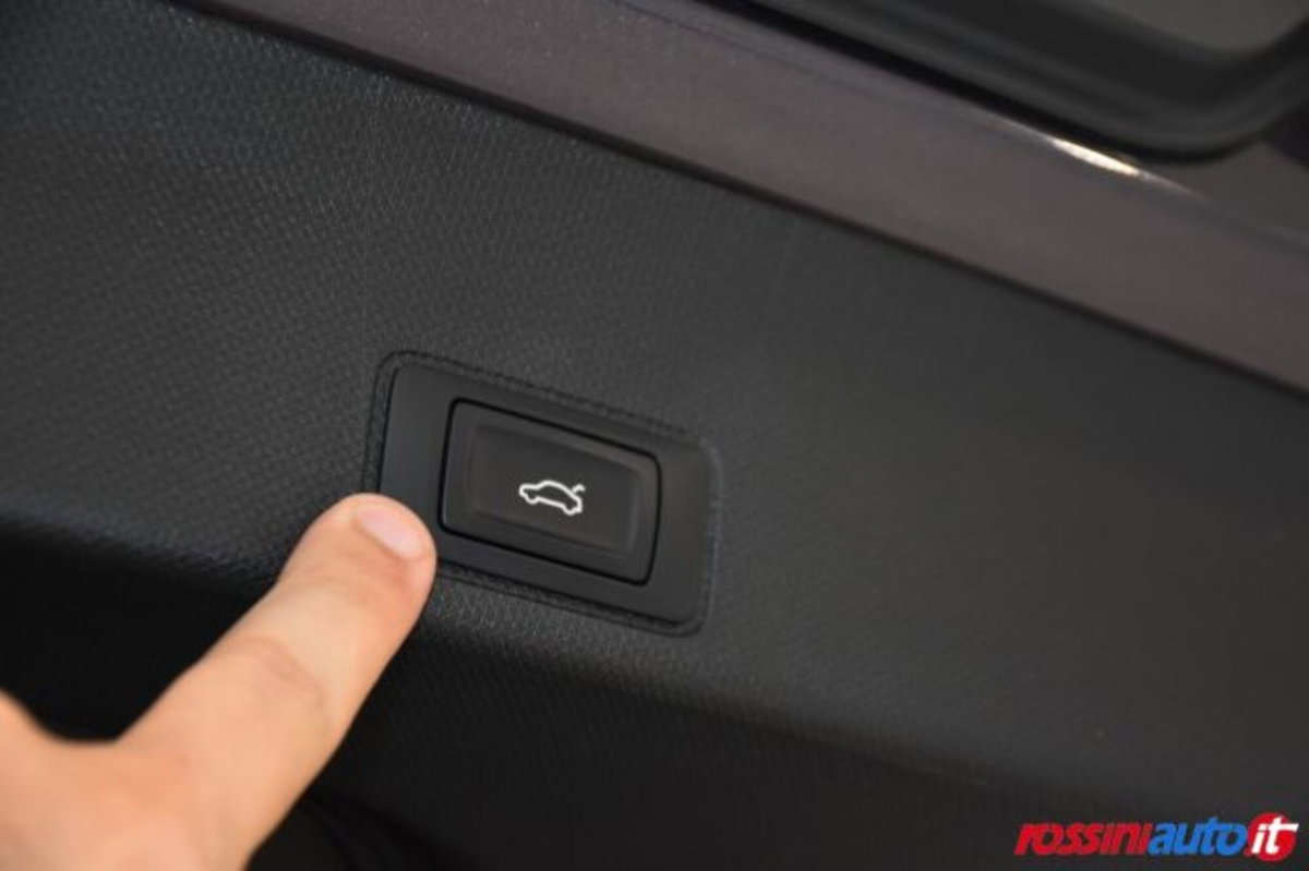 Cupra Terramar 1.5 hybrid 150cv dsg (20)