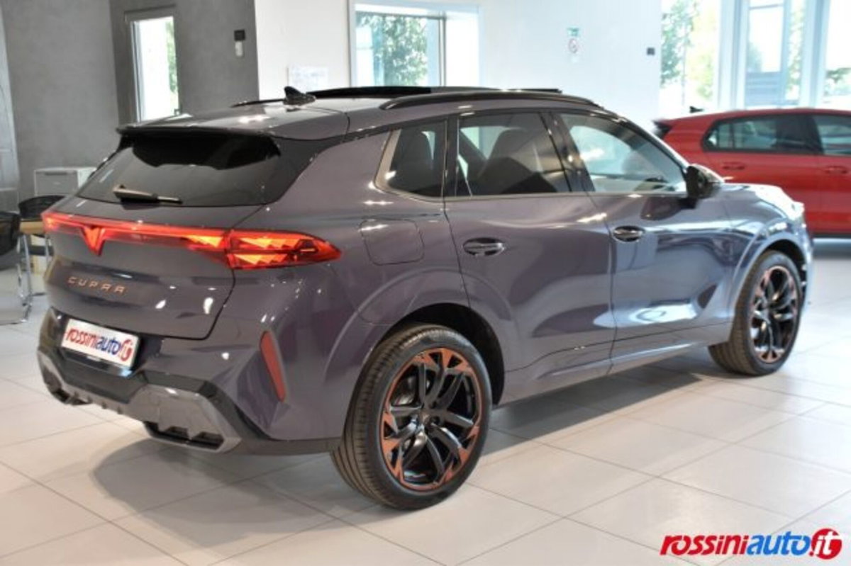 Cupra Terramar 1.5 hybrid 150cv dsg (5)
