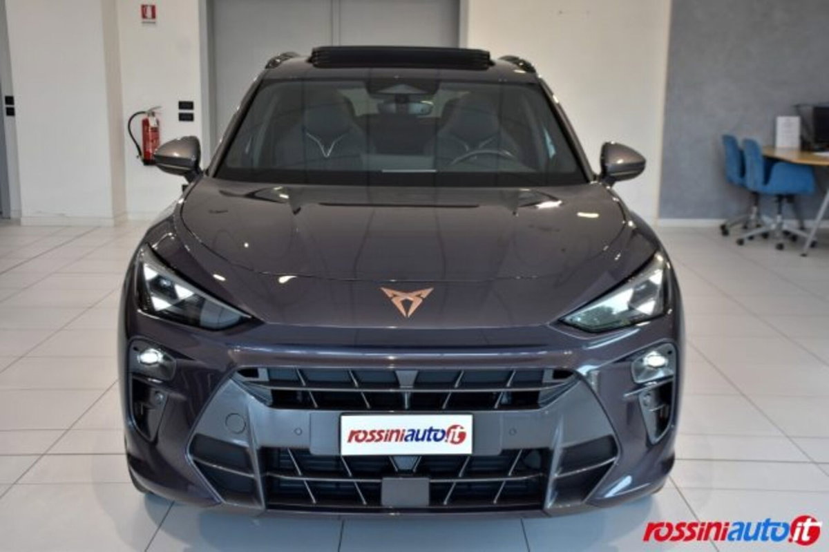 Cupra Terramar 1.5 hybrid 150cv dsg (8)