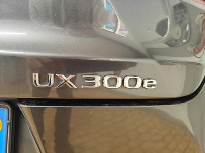 Lexus UX Full Electric Luxury (11)