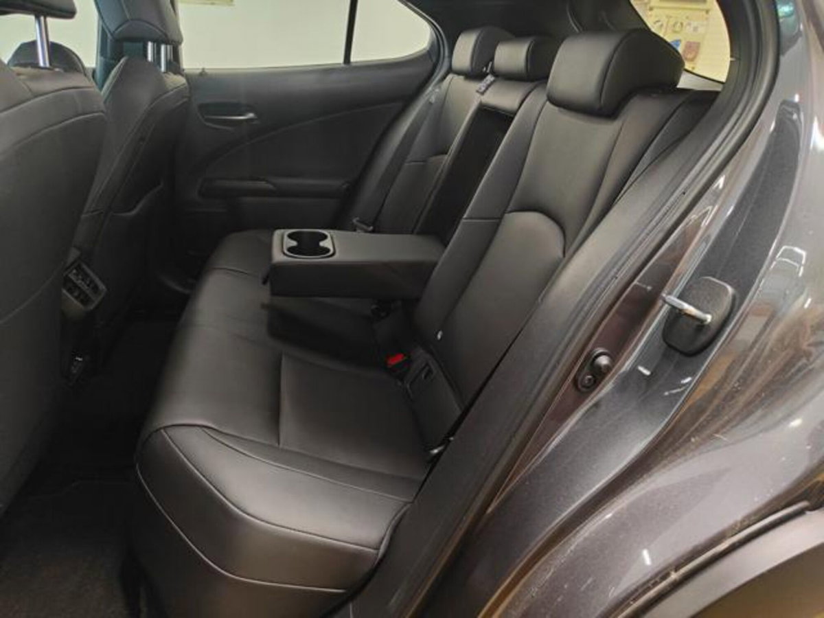 Lexus UX Full Electric Luxury (15)