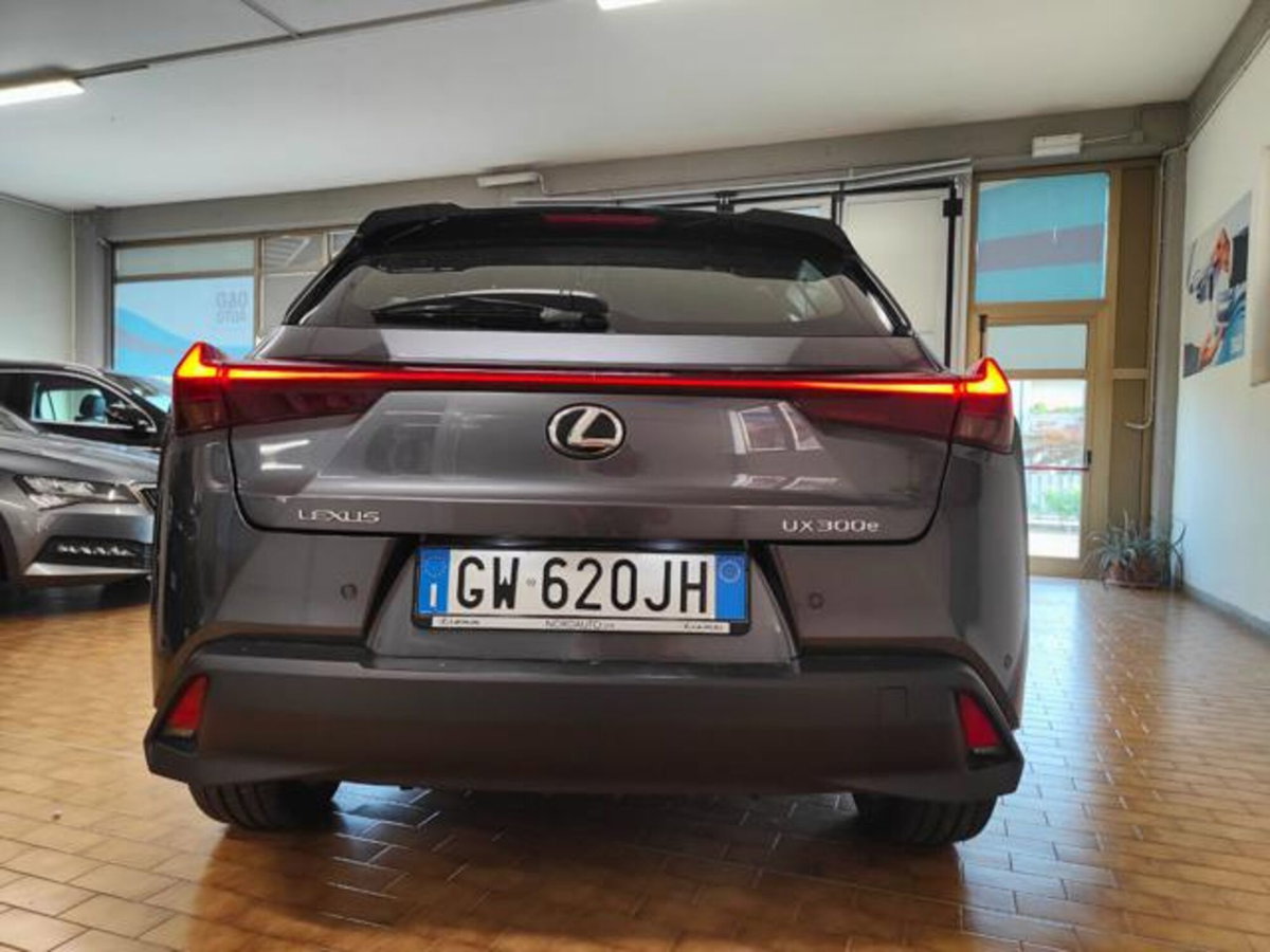 Lexus UX Full Electric Luxury (2)
