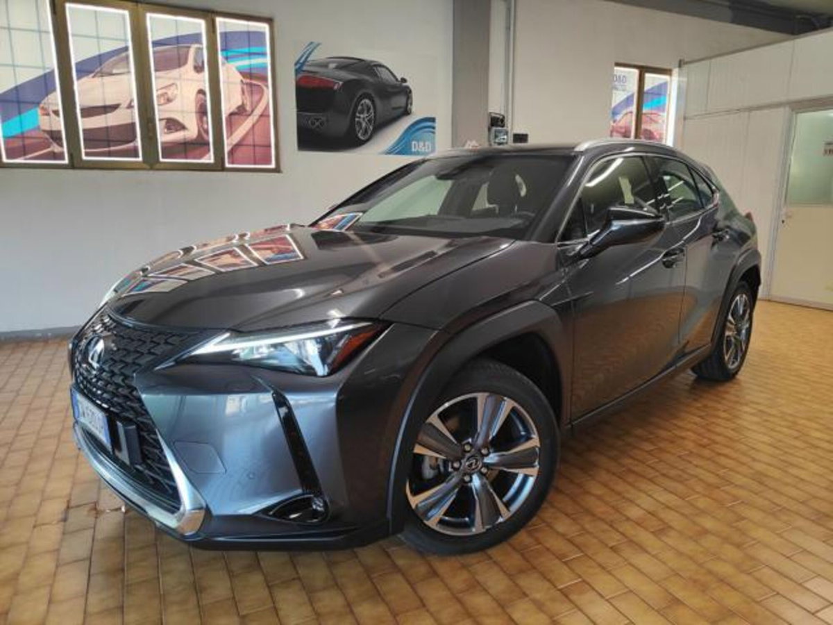 Lexus UX Full Electric Luxury (3)