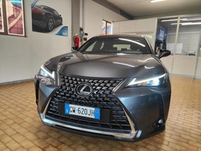 Lexus UX Full Electric Luxury (4)