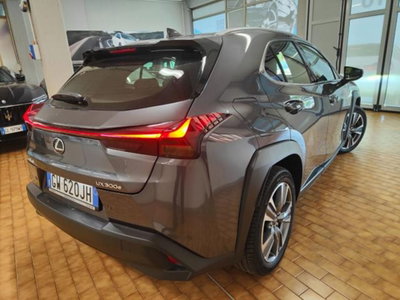 Lexus UX Full Electric Luxury (6)