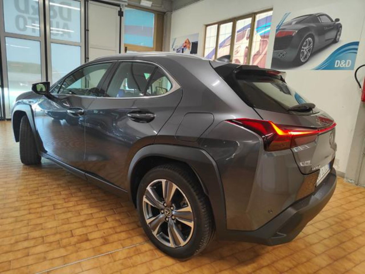 Lexus UX Full Electric Luxury (7)