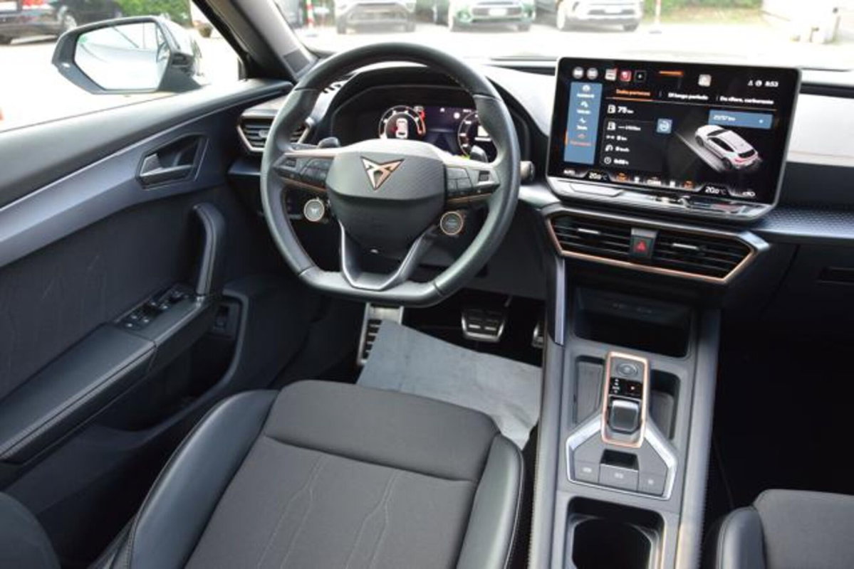 Cupra Formentor Formentor 2.0 TDI (11)