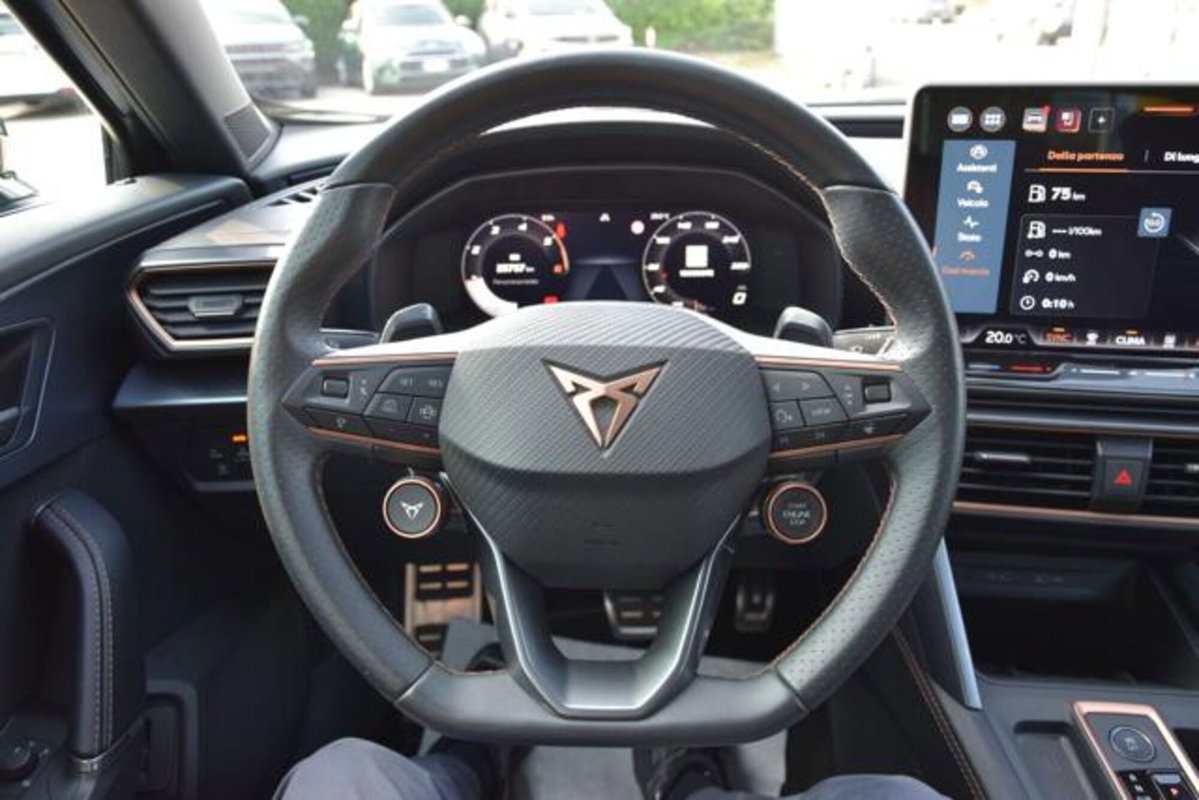 Cupra Formentor Formentor 2.0 TDI (18)