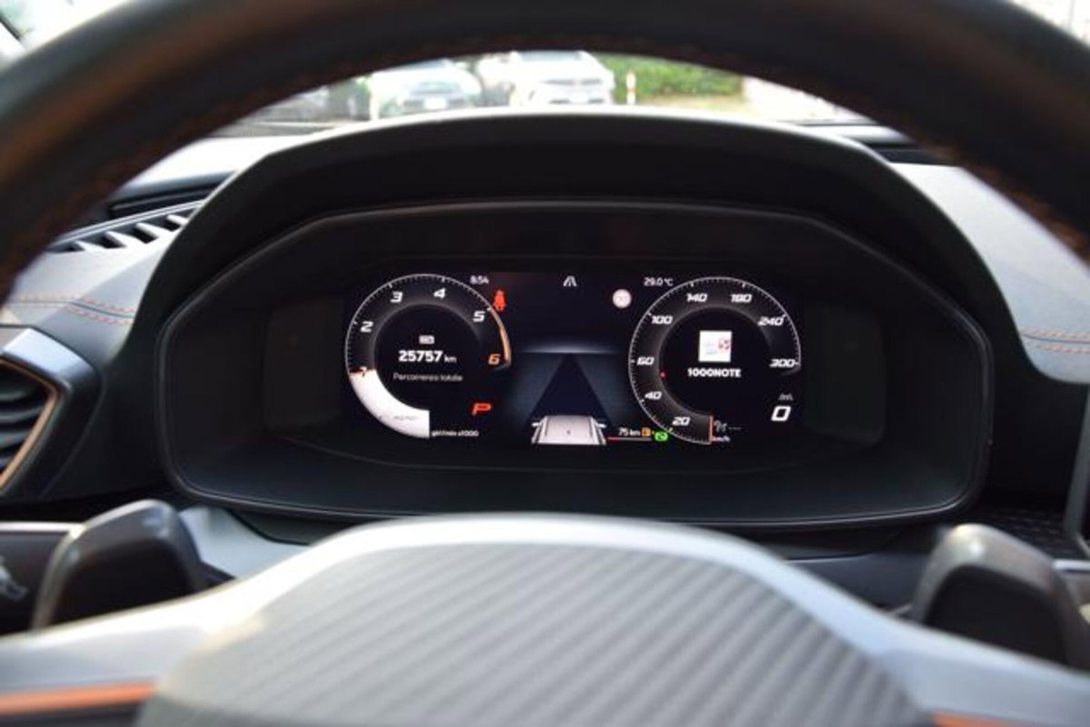 Cupra Formentor Formentor 2.0 TDI (19)