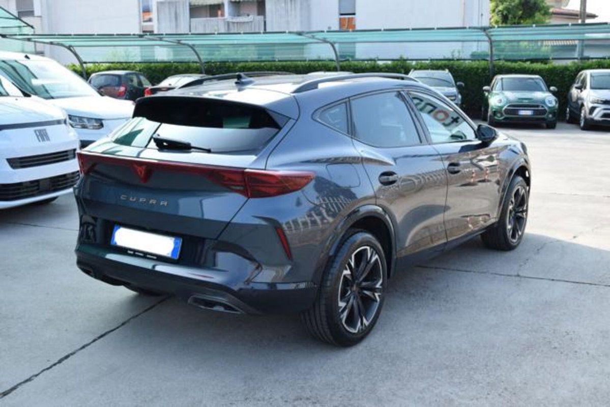Cupra Formentor Formentor 2.0 TDI (6)