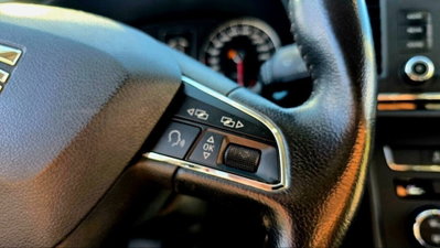 SEAT Leon 1.4 TGI 5p. Business (14)