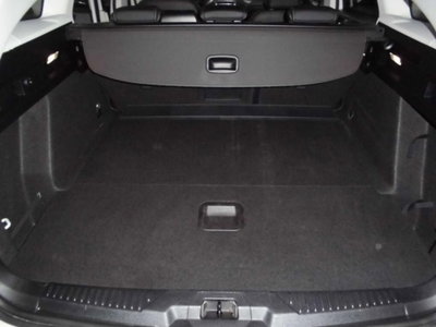 Ford Focus Station Wagon 2.0 EcoBlue 150 CV automatico SW Active X Co-Pilot (12)