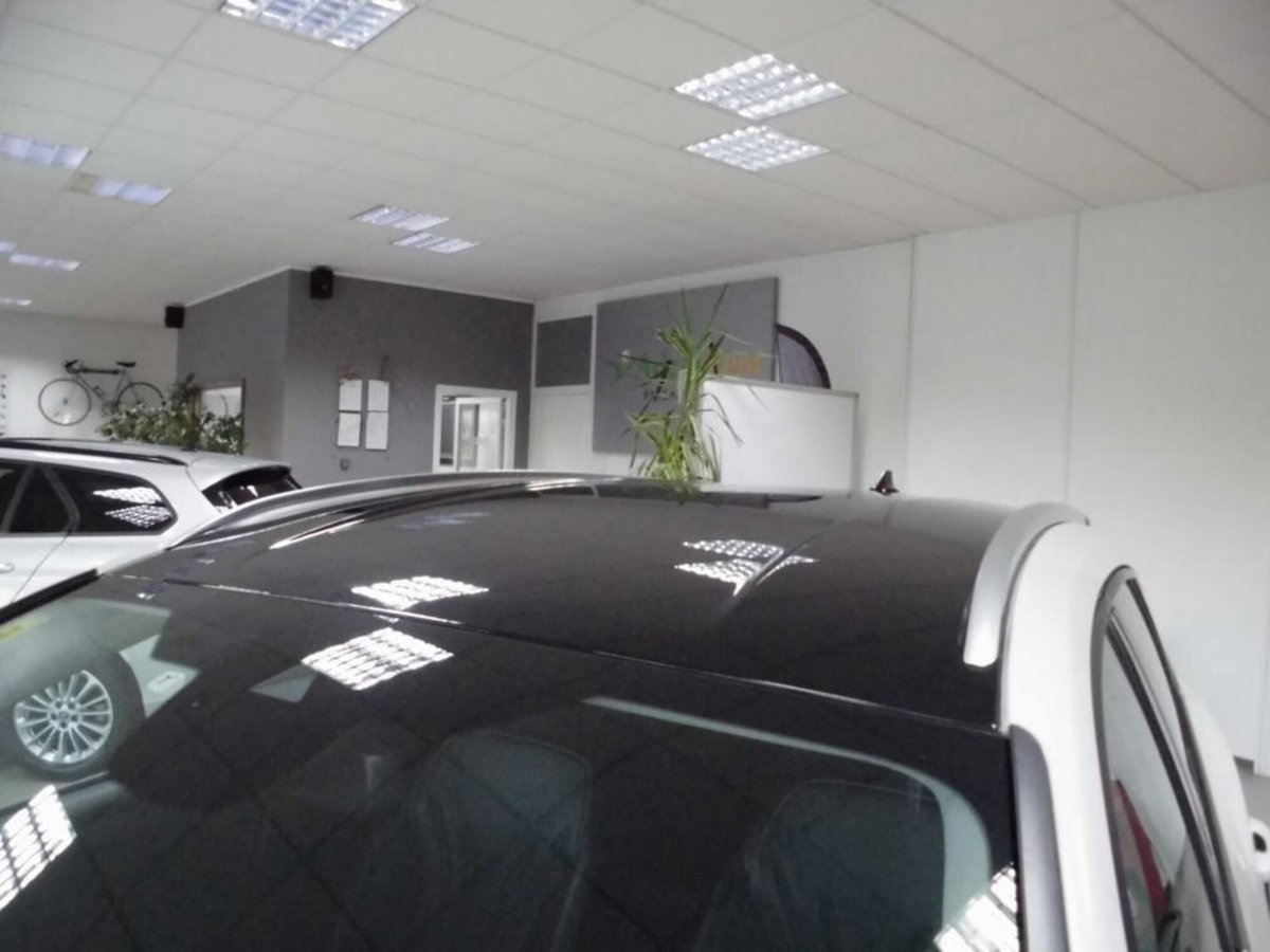 Ford Focus Station Wagon 2.0 EcoBlue 150 CV automatico SW Active X Co-Pilot (6)