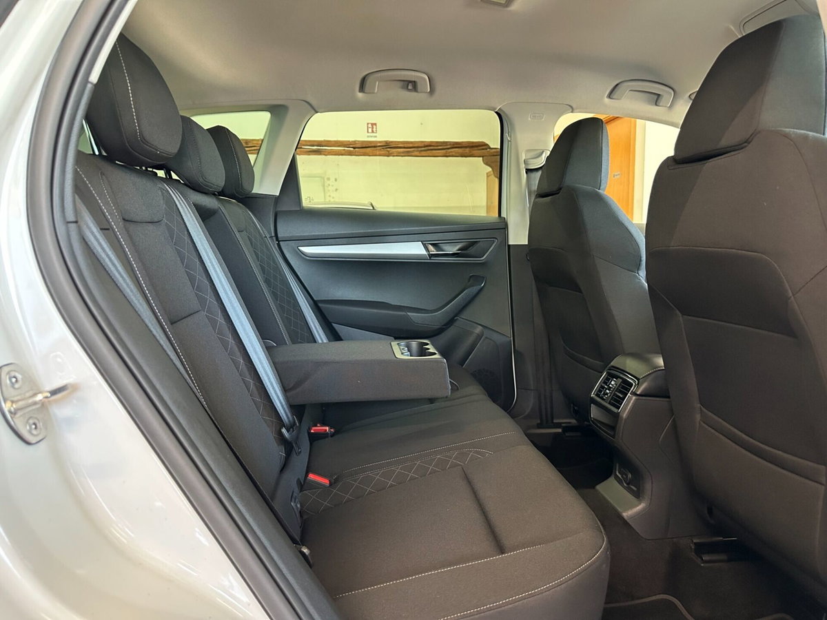 Skoda Karoq 2.0 TDI EVO SCR 115 CV DSG Ambition (10)