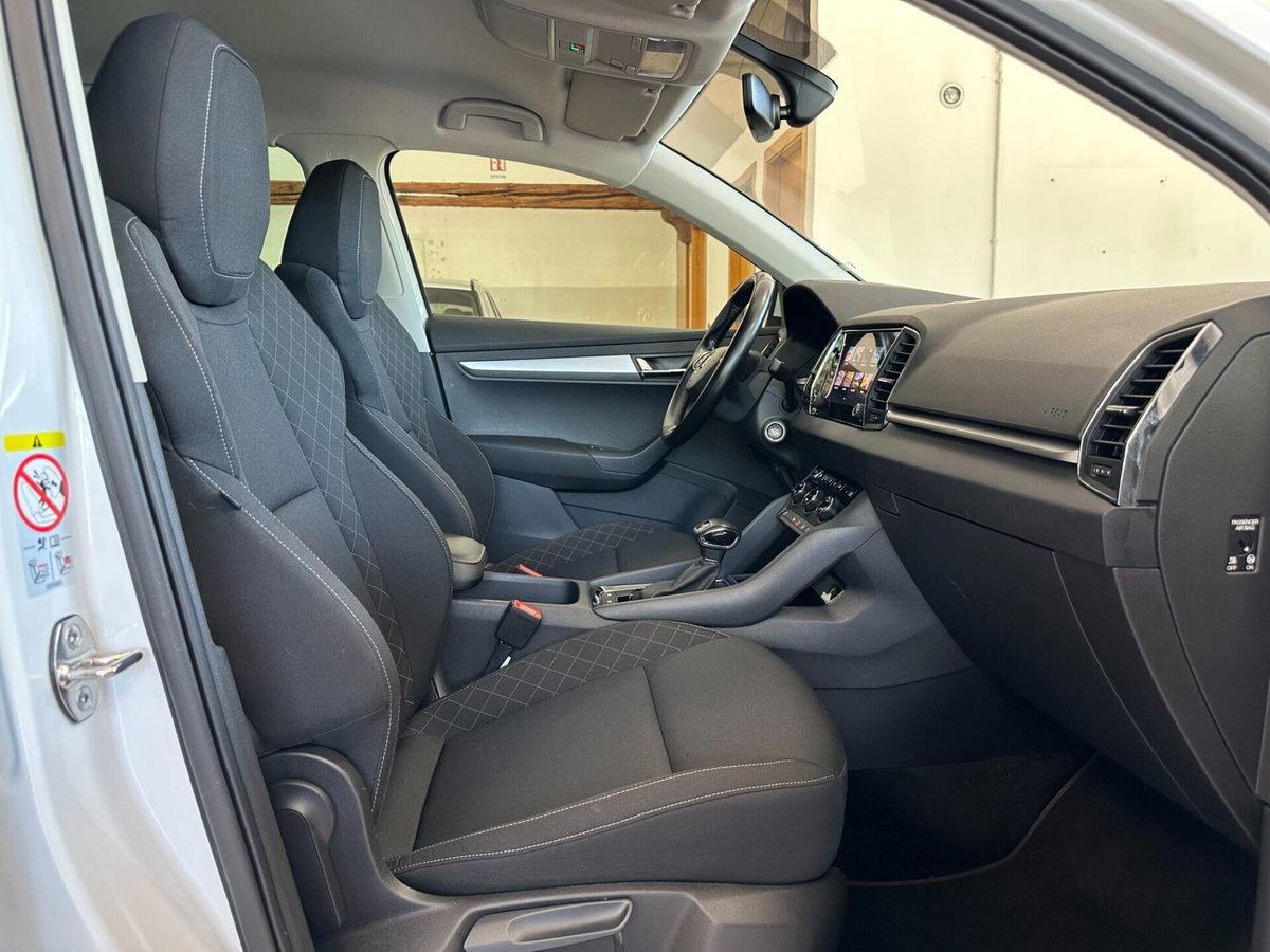 Skoda Karoq 2.0 TDI EVO SCR 115 CV DSG Ambition (11)