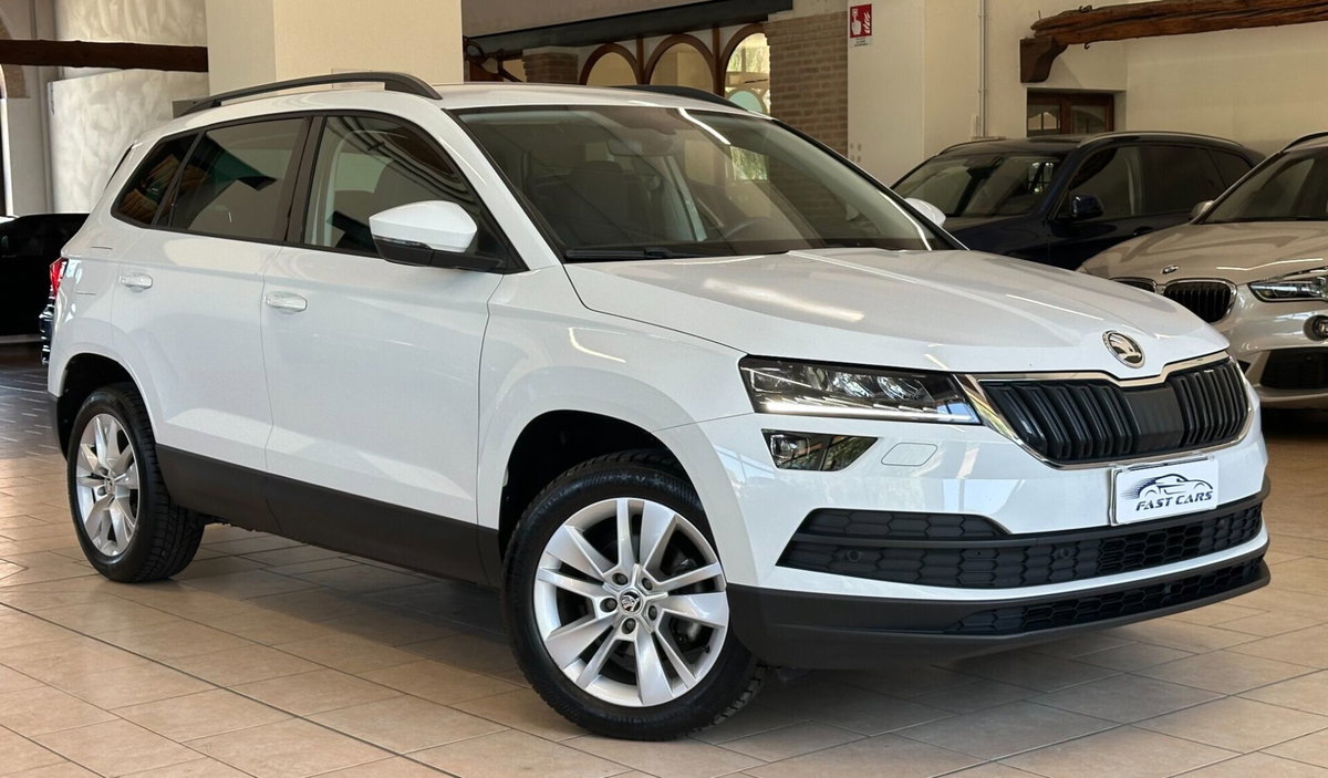 Skoda Karoq 2.0 TDI EVO SCR 115 CV DSG Ambition (3)
