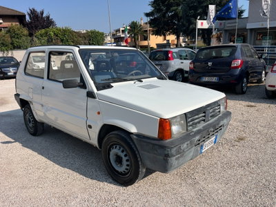 Fiat Panda 1100 i.e. cat Hobby (3)