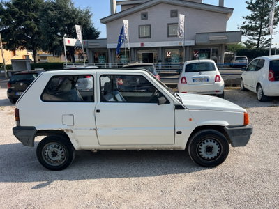 Fiat Panda 1100 i.e. cat Hobby (4)