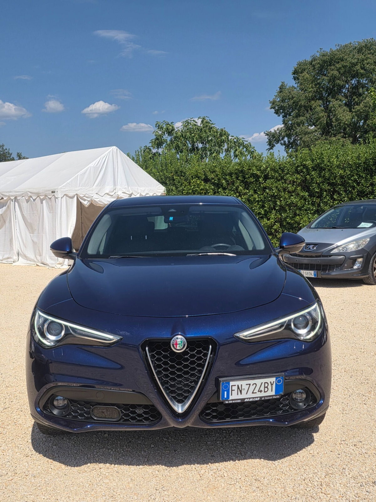 Alfa Romeo Stelvio Stelvio 2.2 Turbodiesel 180 CV AT8 RWD Executive (5)