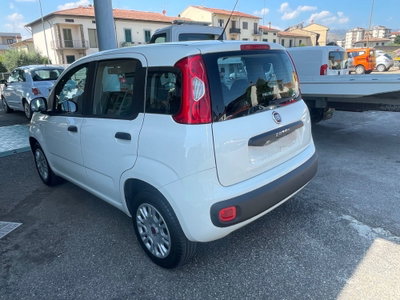 Fiat Panda 1.2 Lounge (3)