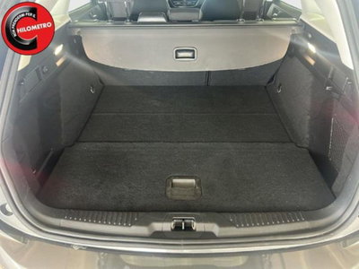 Ford Focus Station Wagon 1.5 EcoBlue 115 CV automatico SW Active Design (14)