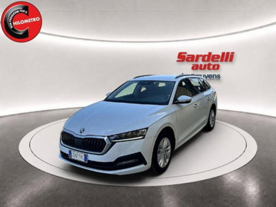 Skoda Octavia Station Wagon 2.0 TDI EVO SCR 150 CV DSG 4x4 Wagon Executive usata