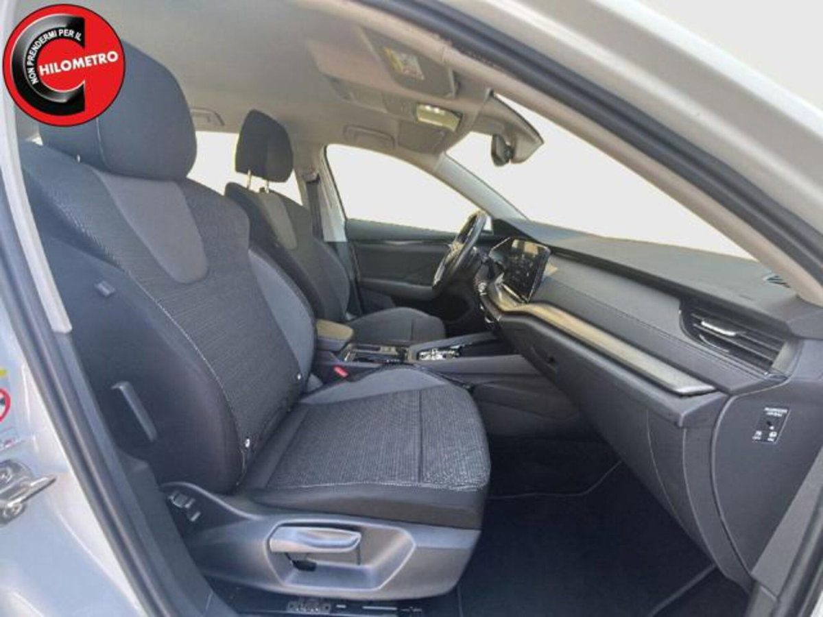 Skoda Octavia Station Wagon 2.0 TDI EVO SCR 150 CV DSG 4x4 Wagon Executive (12)